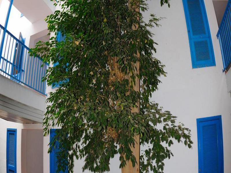 Costa Volcan And Spa Пуерто дел Кармен Екстериор снимка